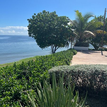 Bayfront Villa & Apartment Portmore Εξωτερικό φωτογραφία